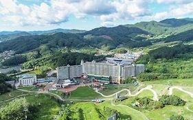 웰리힐리 파크 리조트